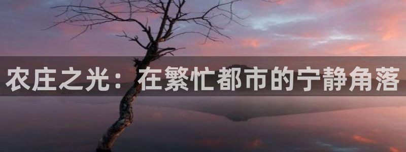 天辰辰娱乐代理