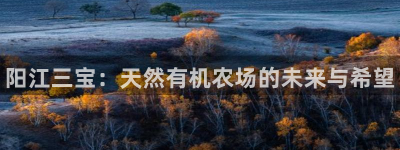 天辰娱乐官网平台下载