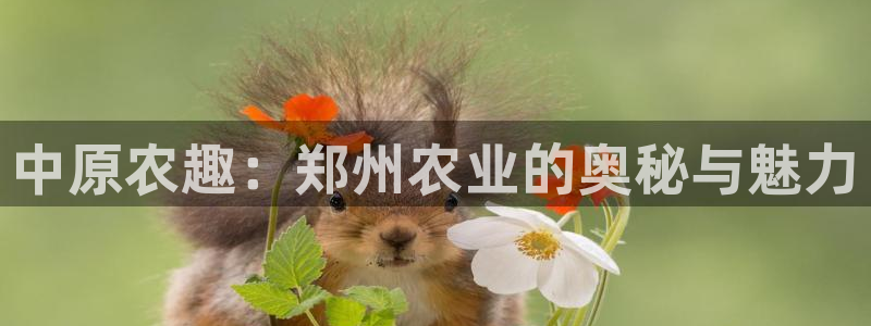 天辰娱乐best