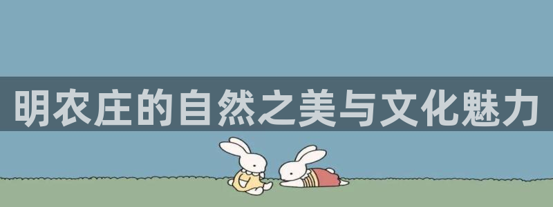 天辰娱乐平台安全吗