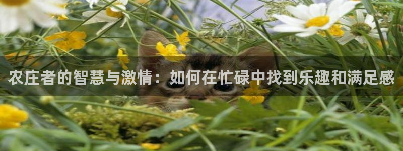 天辰娱乐在哪
