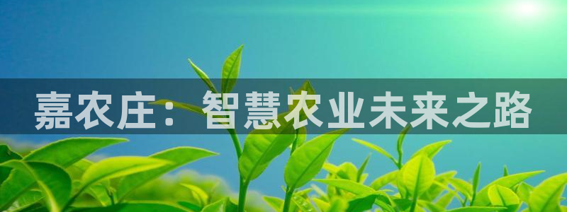 天辰娱乐注册