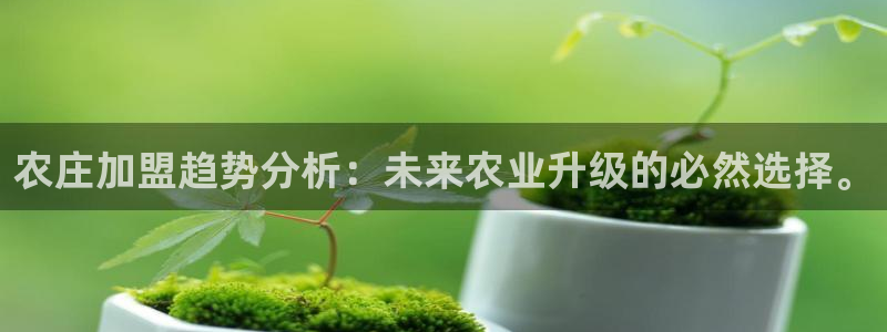 天辰娱乐简介