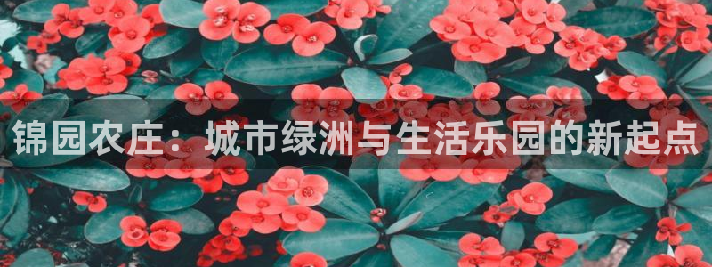 天辰娱乐登录网址