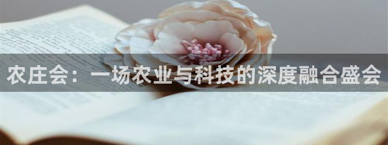 天辰娱乐内部