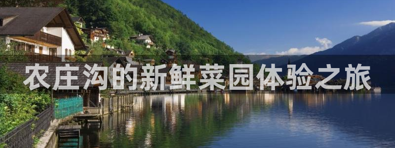 天辰娱乐论坛