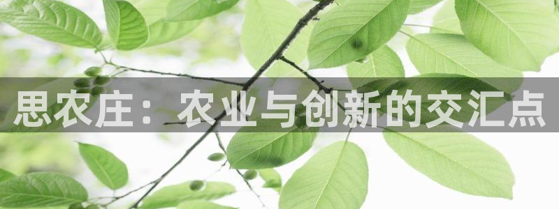 天辰天富娱乐登录