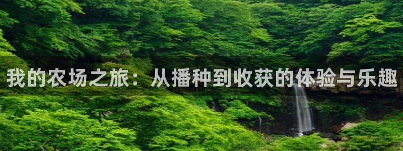 天辰娱乐公司